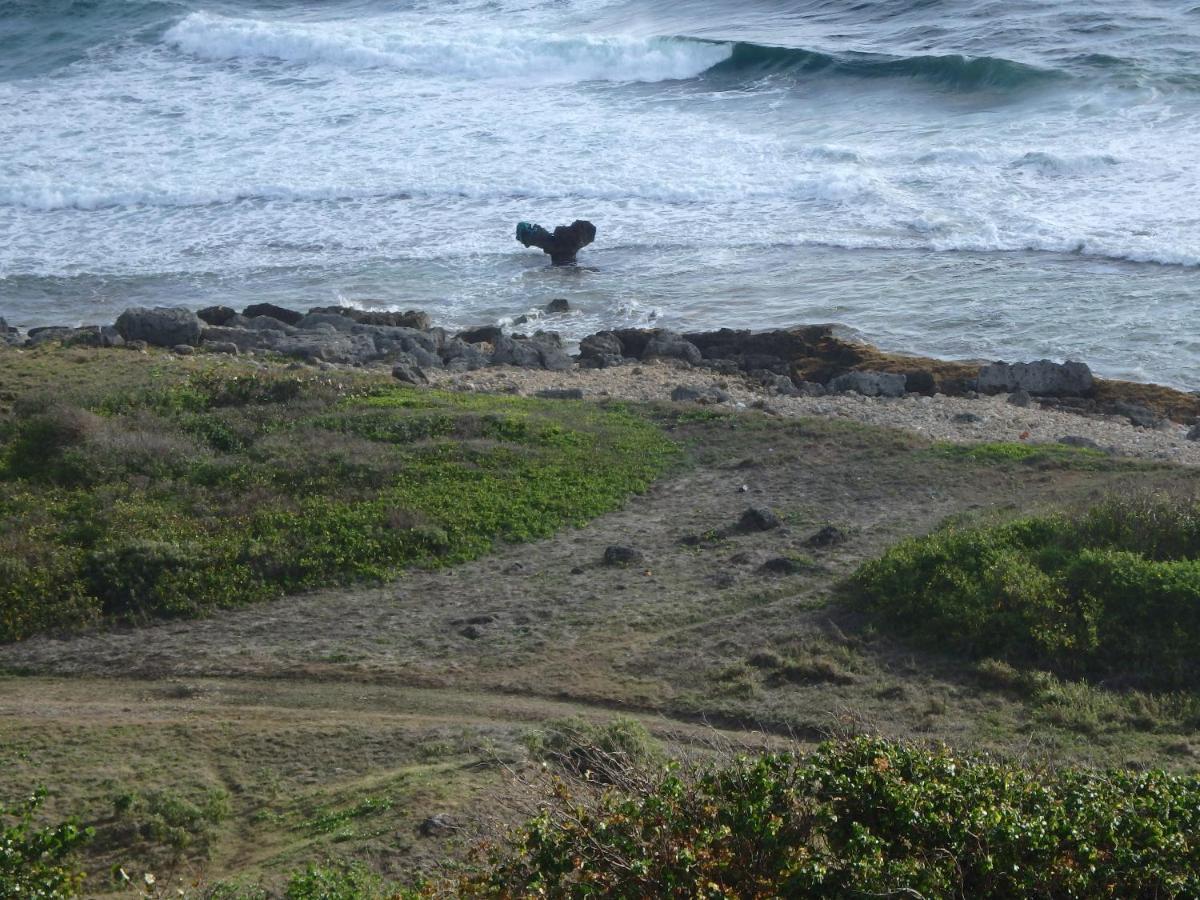 La Marine Bed & Breakfast Le Moule Luaran gambar